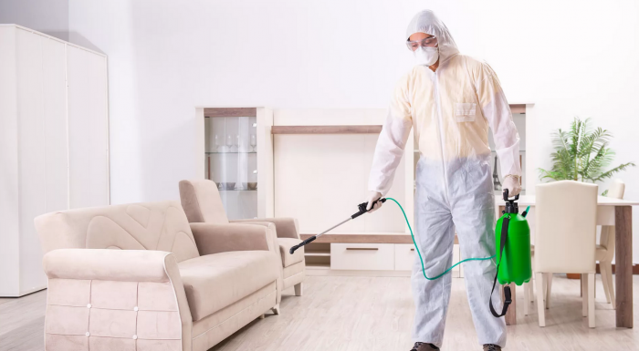 Профессиональная обработка квартиры от клопов холодным туманом